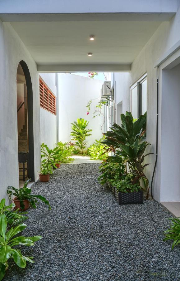 Hotel Island Ambience à Maafushi Extérieur photo
